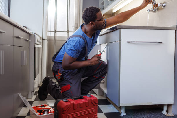 Best Leak Detection Services  in North Hudson, WI